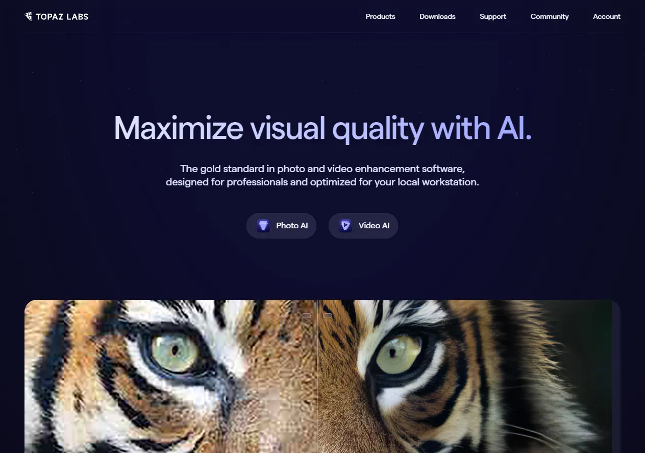 Screenshot of Topaz Labs: AI Image Quality Software.